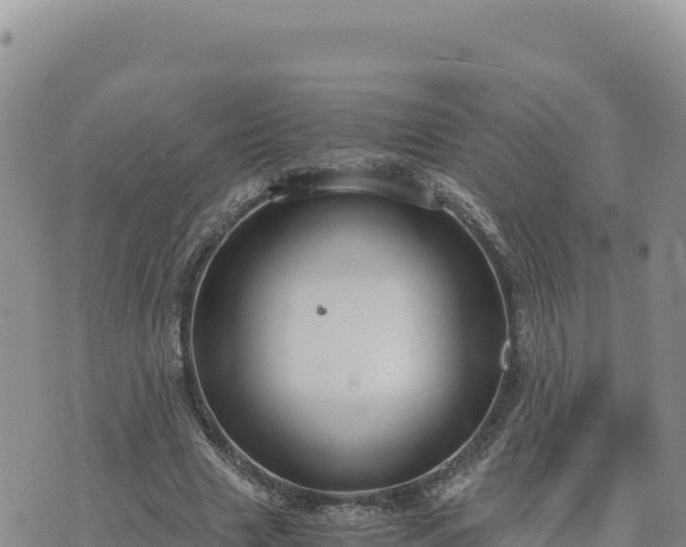 X0000073700633200608101814