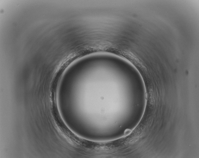 X0000073700634200608101814