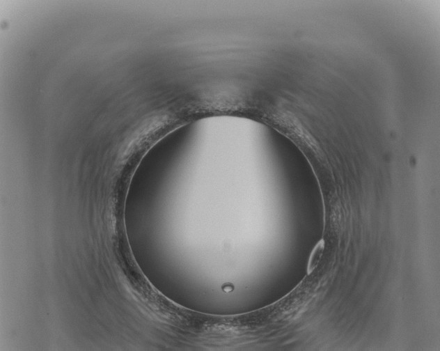 X0000073700635200608101814