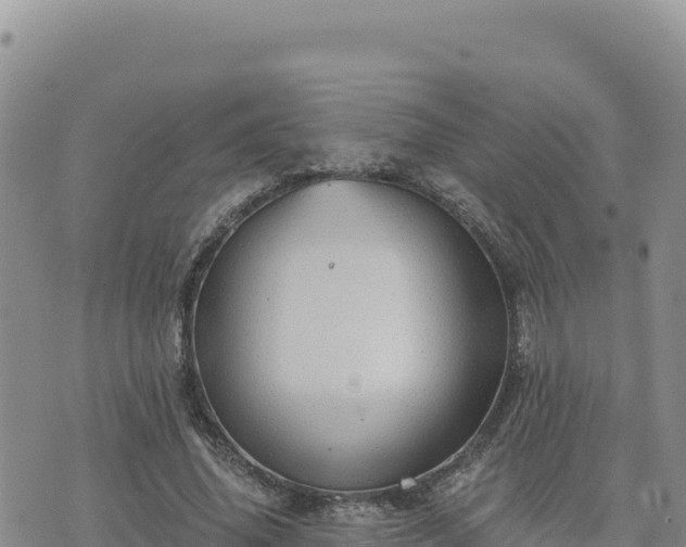 X0000073700636200608101814