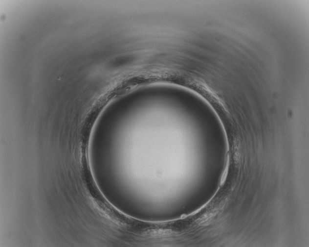 X0000073700637200608101814