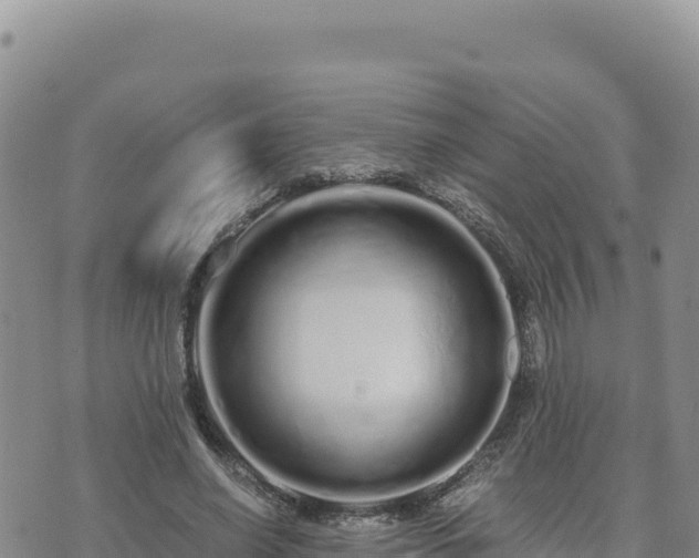 X0000073700638200608101814