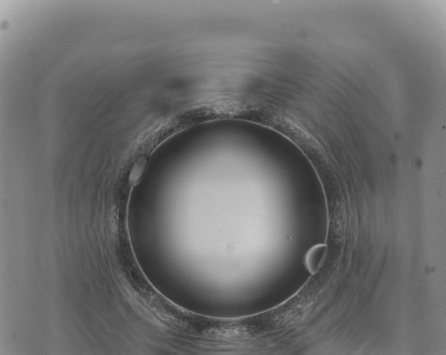 X0000073700639200608101814