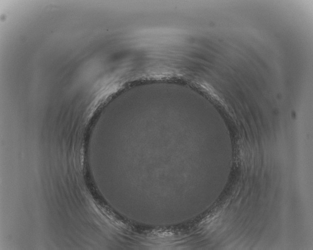 X0000073700640200608101814