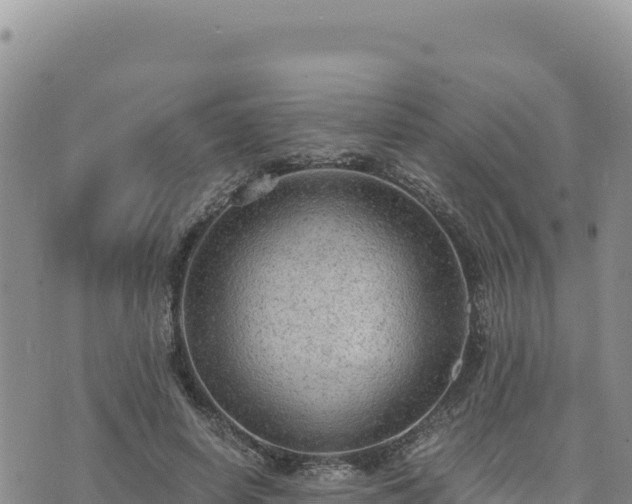 X0000073700642200608101814