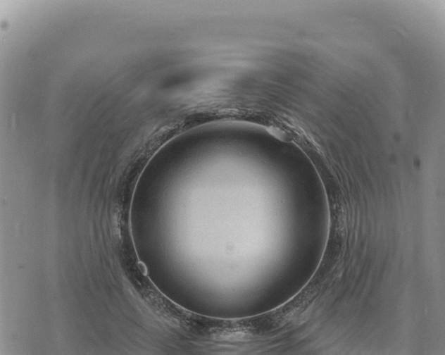 X0000073700643200608101814