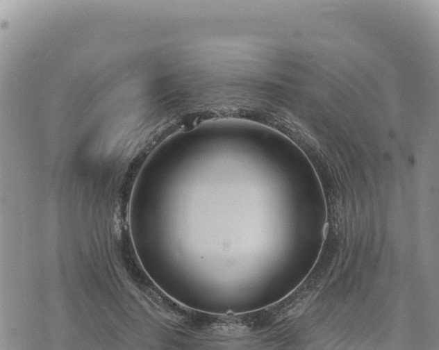 X0000073700644200608101814