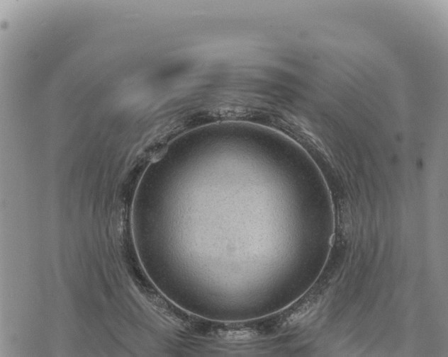 X0000073700645200608101814