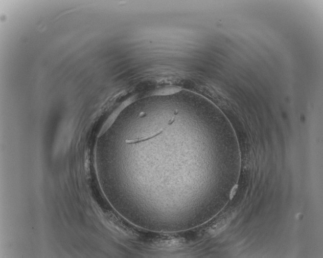 X0000073700646200608101814