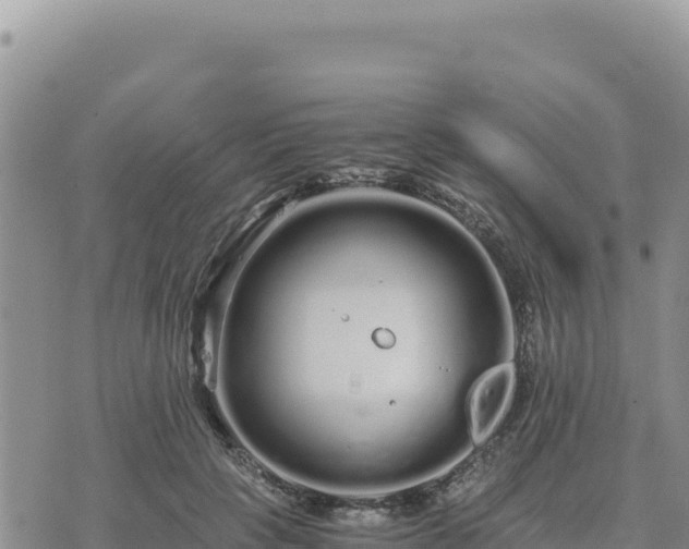 X0000073700649200608101814