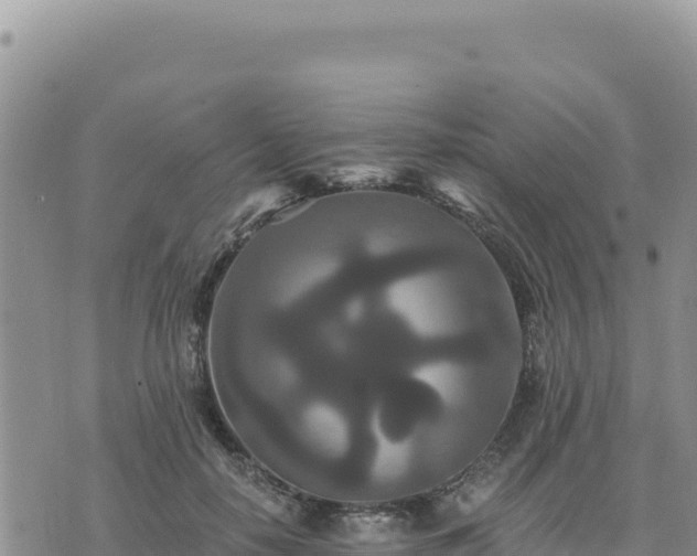 X0000073700650200608101814