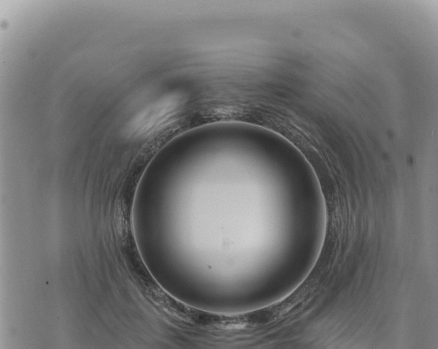 X0000073700651200608101815