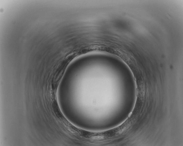 X0000073700653200608101815