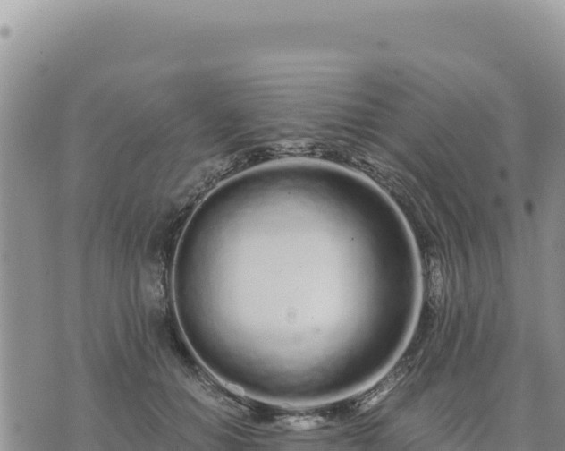 X0000073700654200608101815