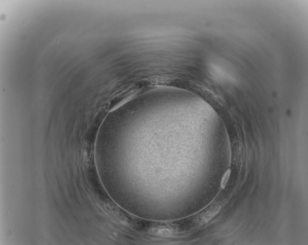 X0000073700655200608101815