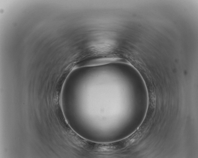 X0000073700657200608101815