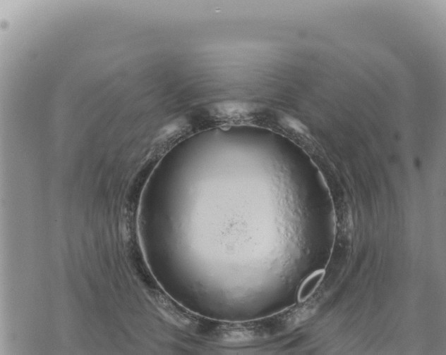 X0000073700658200608101815