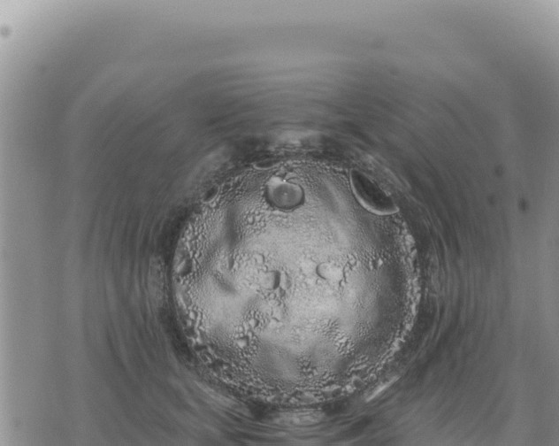 X0000073700659200608101815