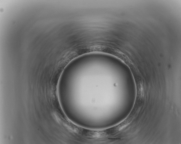 X0000073700663200608101815