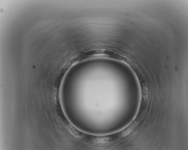 X0000073700664200608101815