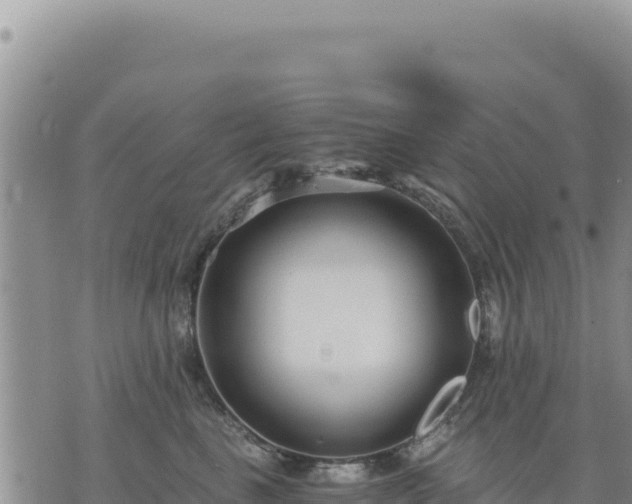 X0000073700665200608101815