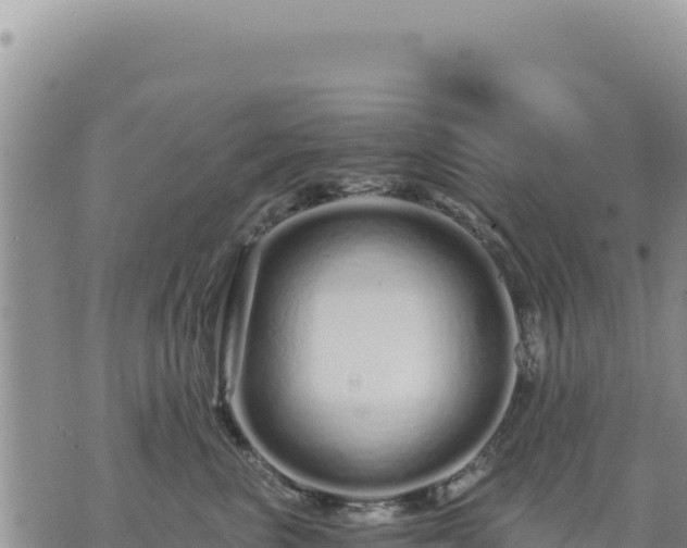 X0000073700667200608101815