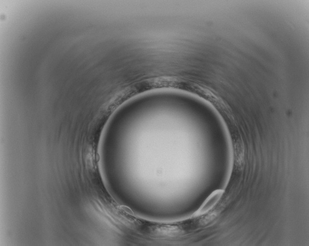 X0000073700669200608101815