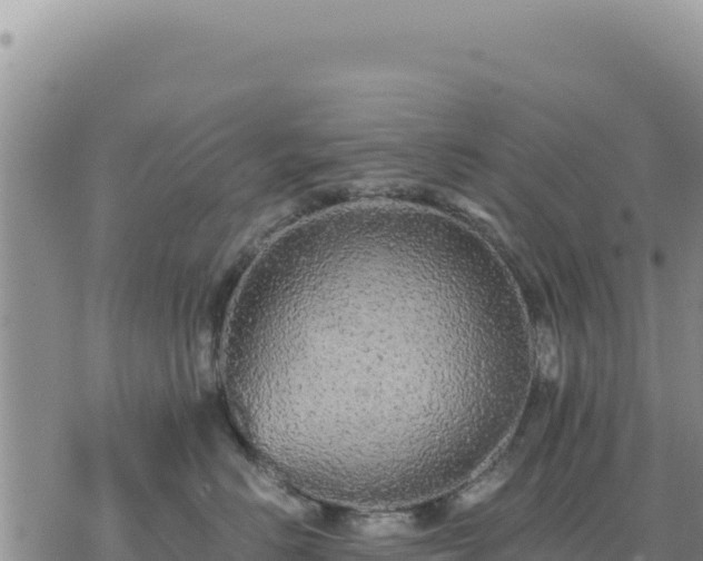 X0000073700670200608101815