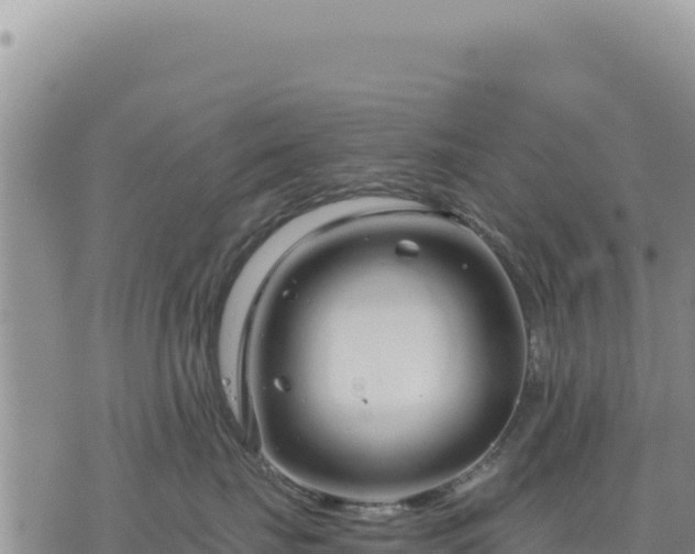 X0000073700671200608101815