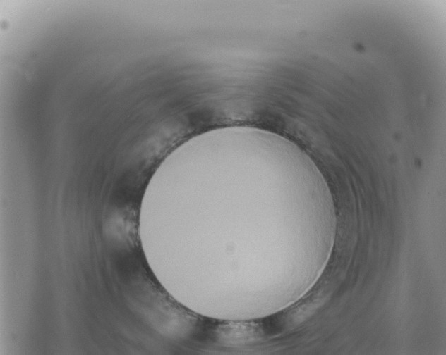 X0000073700672200608101815