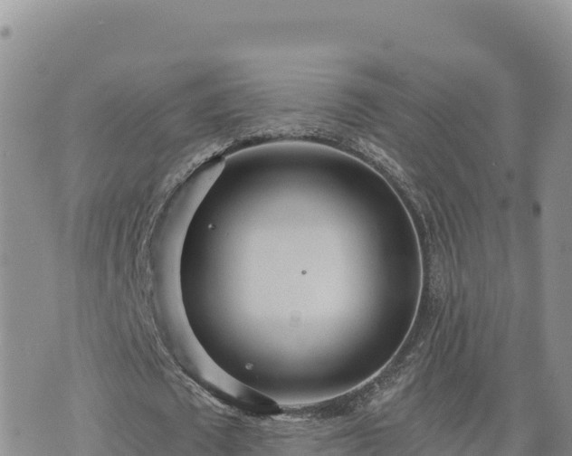 X0000073700673200608101814