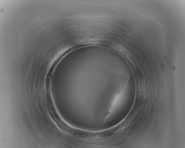 X0000073700674200608101814