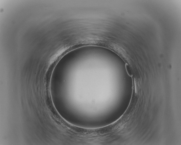 X0000073700675200608101814