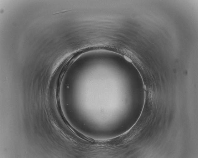 X0000073700676200608101814