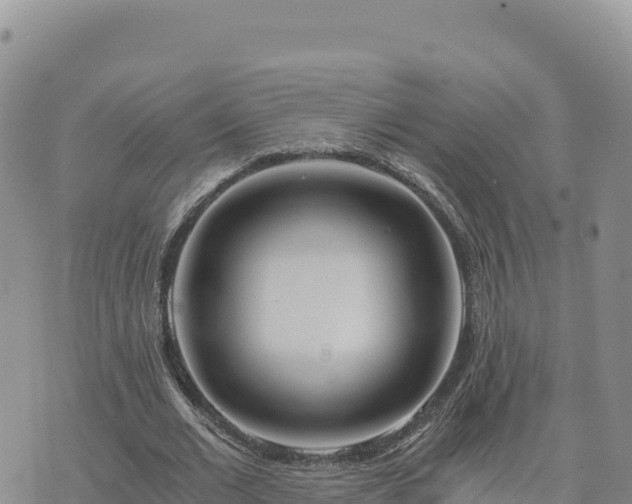 X0000073700677200608101814