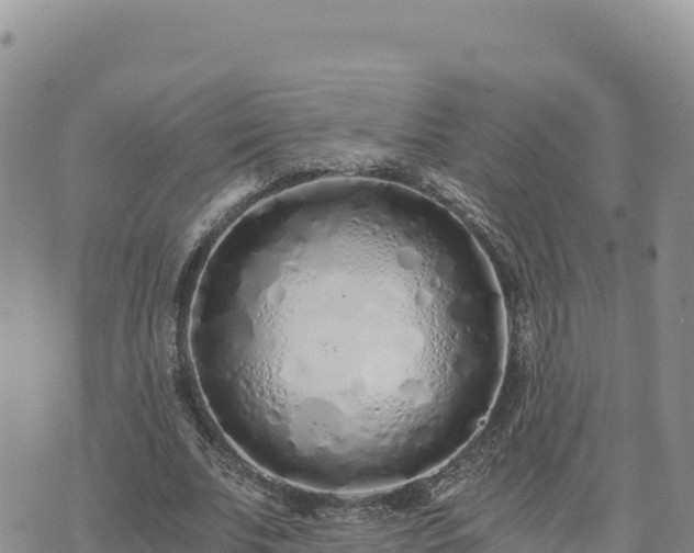 X0000073700679200608101814