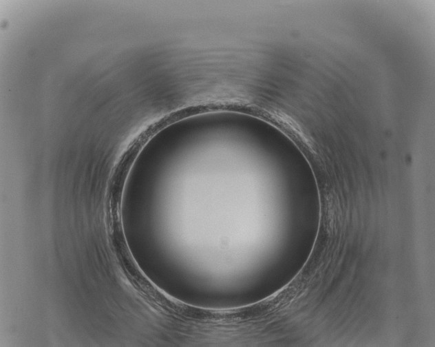 X0000073700680200608101814