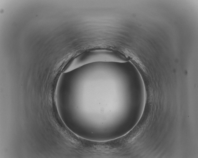 X0000073700681200608101814