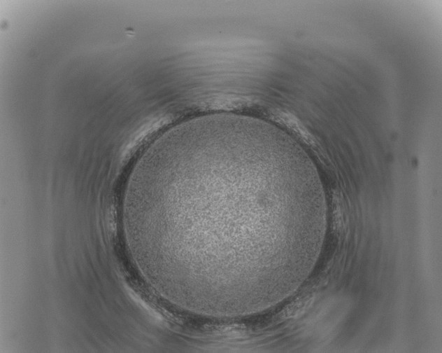 X0000073700683200608101814