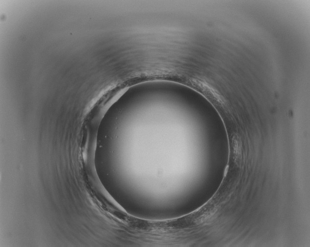 X0000073700684200608101814