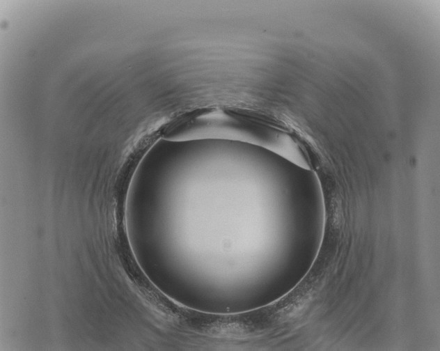 X0000073700685200608101814