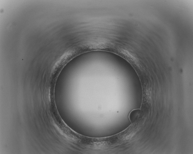 X0000073700686200608101814