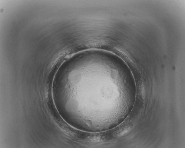 X0000073700687200608101814