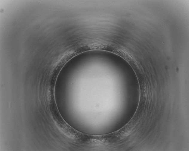 X0000073700690200608101814