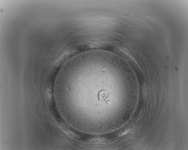 X0000073700691200608101814