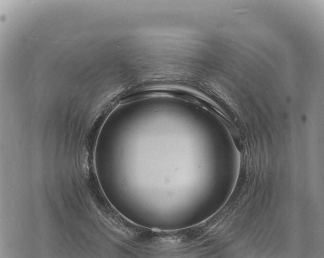 X0000073700692200608101814