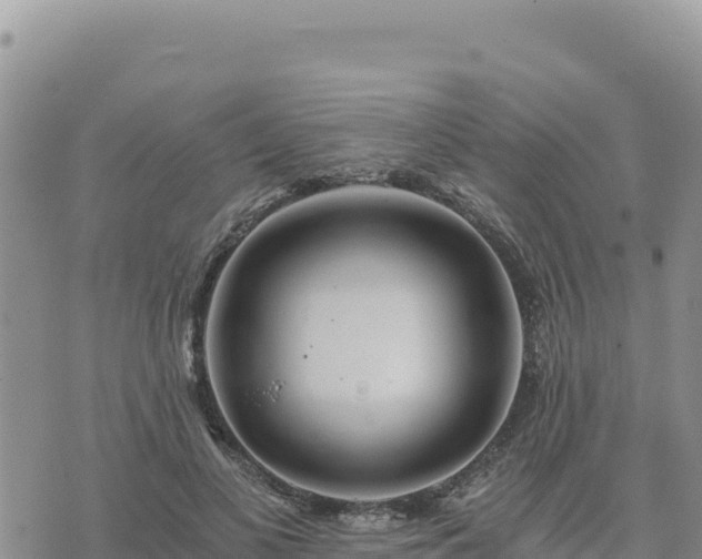 X0000073700693200608101814