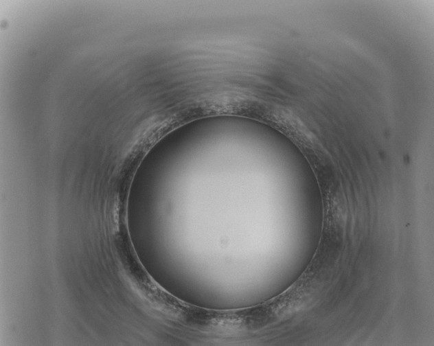 X0000073700694200608101814