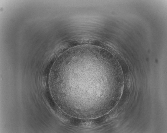 X0000073700695200608101814