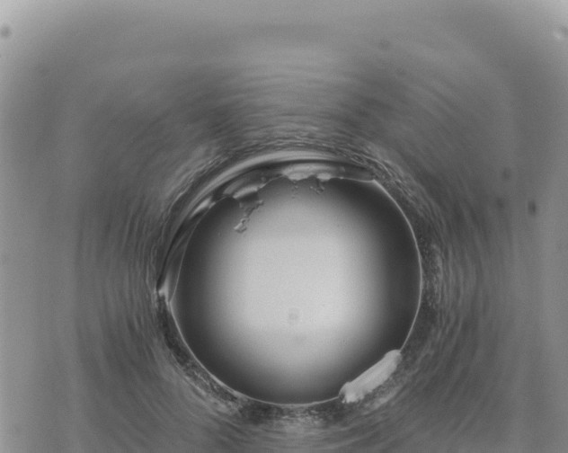 X0000073700696200608101814